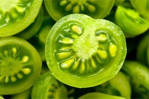 treatment of varicose veins, green tomatoes