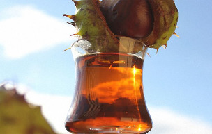 Tincture of the horse chestnut